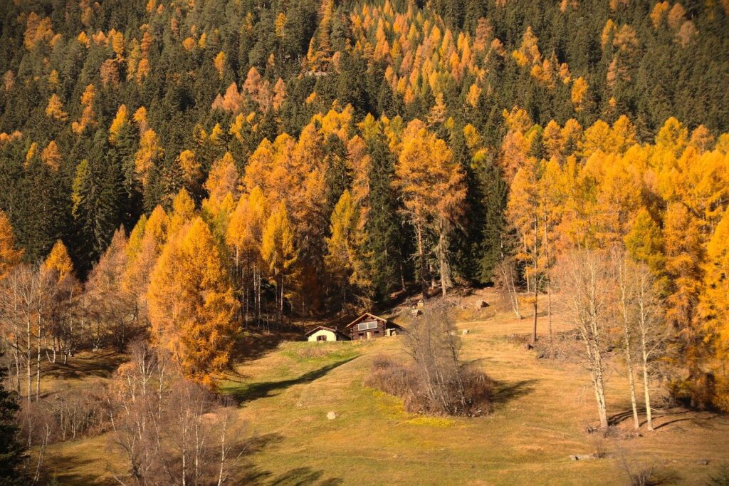 autumn, mountains, cabin-7556418.jpg